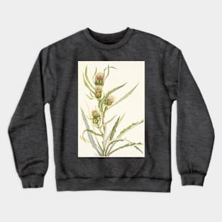 White thistle - Botanical Illustration Crewneck Sweatshirt